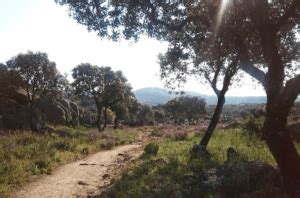 Rutas en la sierra de Madrid: En ADESGAM te proponemos 24。